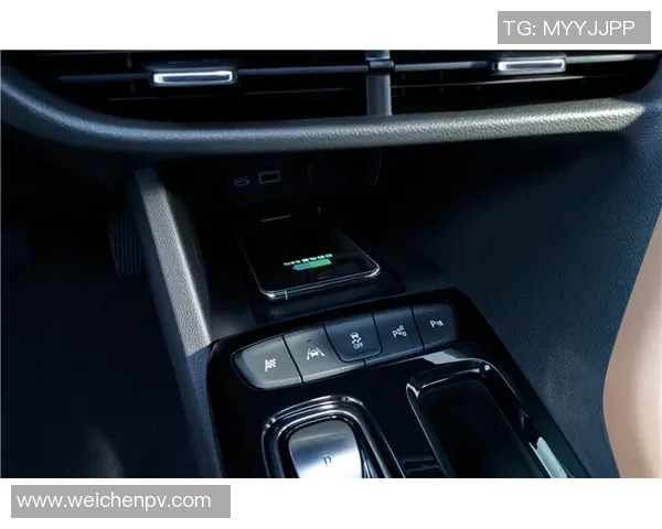 成都网球队技术表现深度分析与数据解读探讨