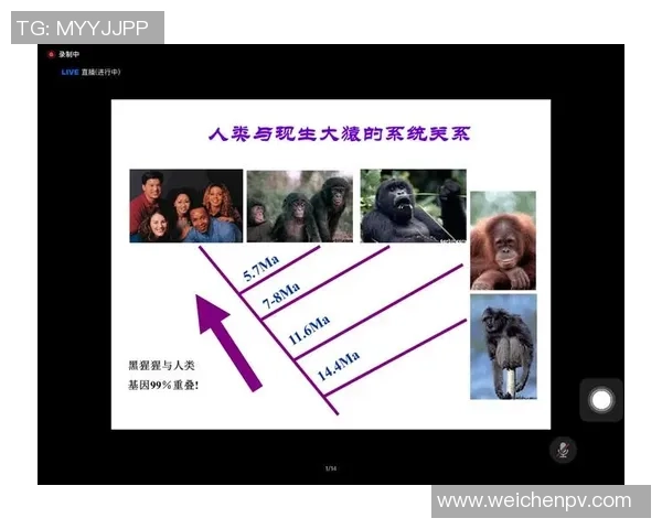 杜姓足球明星的成就与影响力探讨及其在国际足坛的地位分析 杜姓足球明星的成就与影响力探讨及其在国际足坛的地位分析