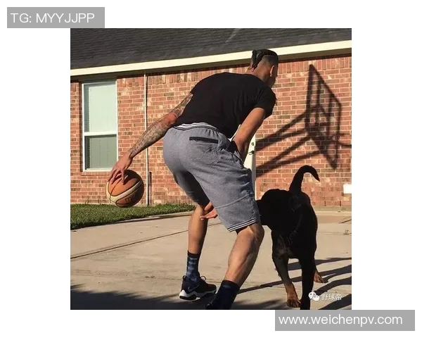 深度对话杨强讲述篮球人生的起伏与梦想追逐之路 深度对话杨强讲述篮球人生的起伏与梦想追逐之路