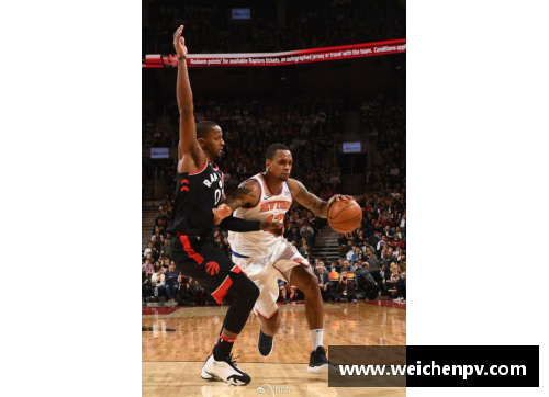 NBA精彩解说：赛场内外，见证篮球独特魅力