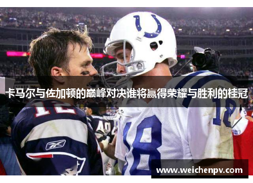卡马尔与佐加顿的巅峰对决谁将赢得荣耀与胜利的桂冠