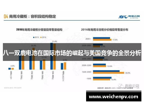 八一双鹿电池在国际市场的崛起与美国竞争的全景分析